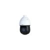 IP-камера DAHUA DH-SD49225DB-HNY