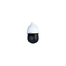 IP-камера DAHUA DH-SD49225DB-HNY
