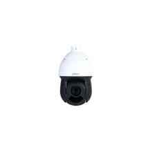 IP-камера Dahua DH-SD49216DB-HNY