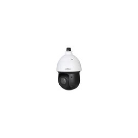 IP-камера Dahua DH-SD49825GB-HNR